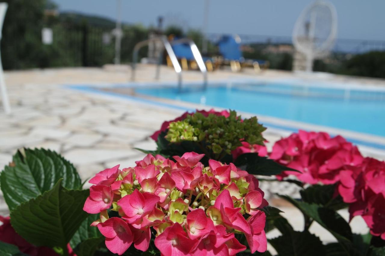 Bacchus Corfu *